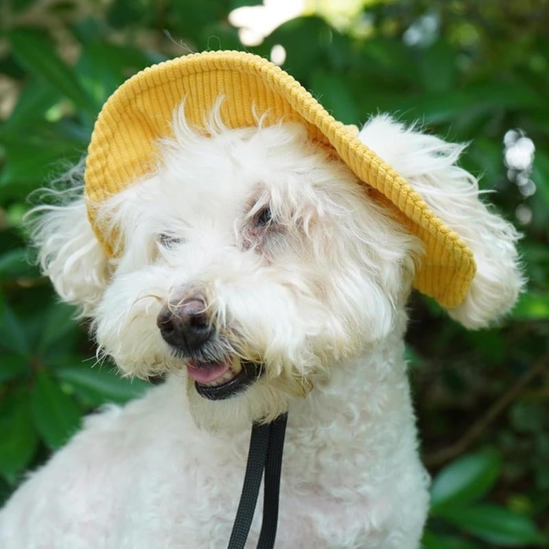Cute Corduroy Pet Hat with Ear Holes, Outdoor Sun Protection Pet Hat, Pet Clothing Supplies for Small Medium Large Dogs & Cats