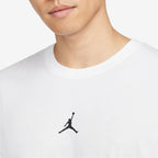 Nike Official Authentic Jordan Sport Dri-FIT Men's Short Sleeve T-Shirt DH8922-100