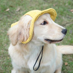 Cute Corduroy Pet Hat with Ear Holes, Outdoor Sun Protection Pet Hat, Pet Clothing Supplies for Small Medium Large Dogs & Cats